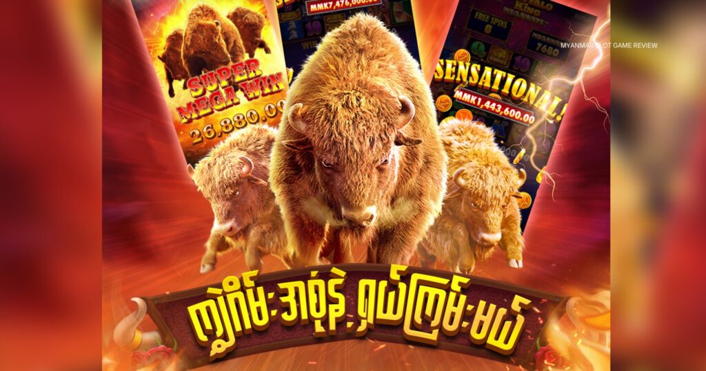 ကျွဲဂိမ်း စလေ့